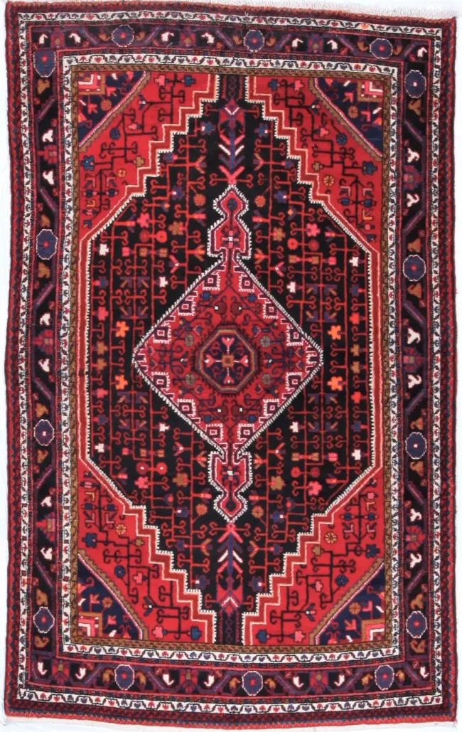 Cyrus Artisan Persian Hamedan Rug