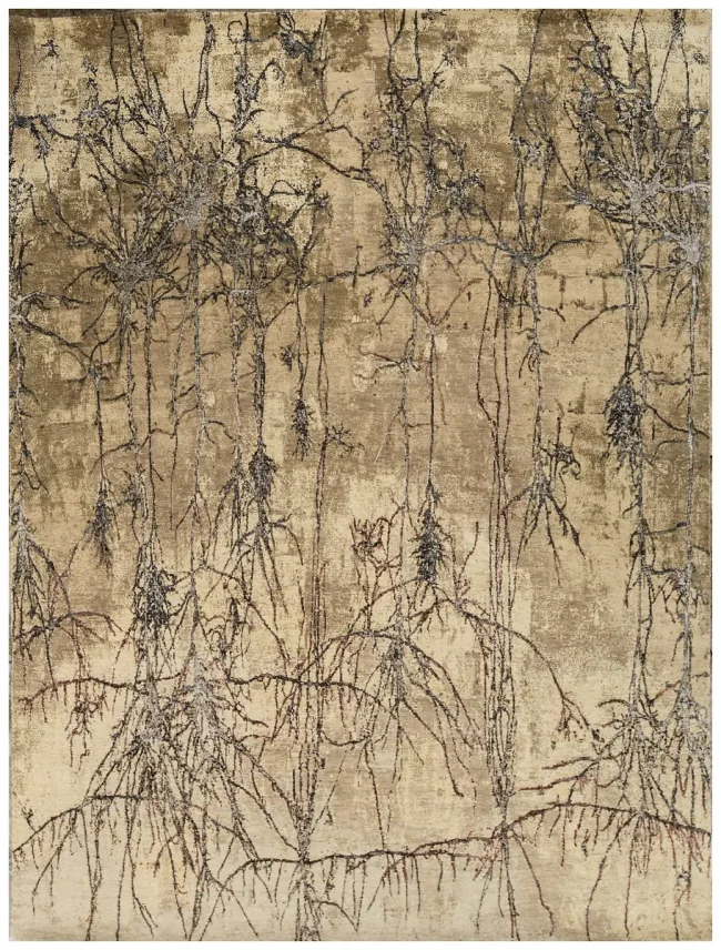 Cyrus Artisan Sterling STR-57 Rugs
