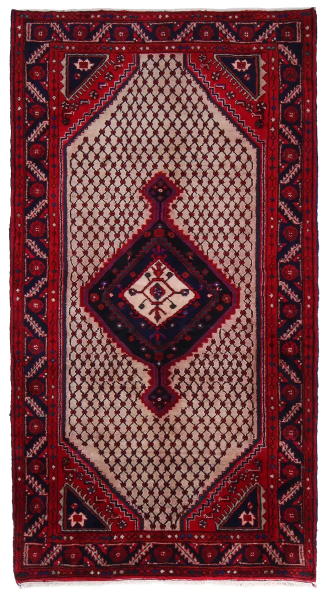 Cyrus Artisan Persian Hamedan Rug