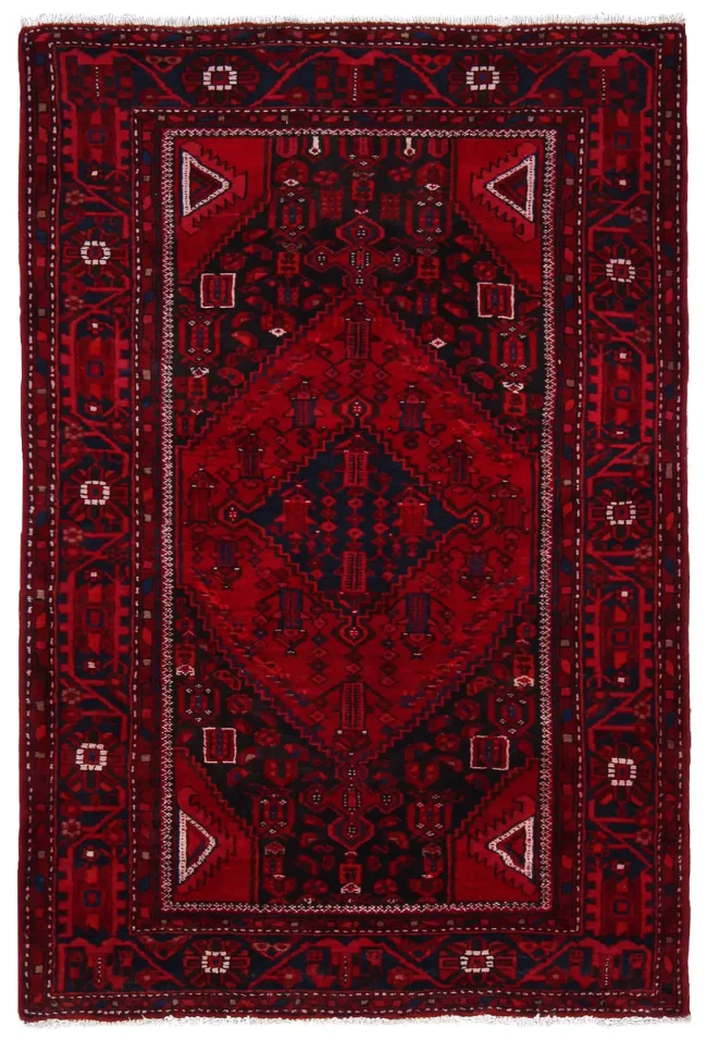 Cyrus Artisan Persian Hamedan Rug