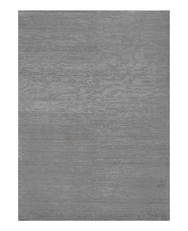 Cyrus Artisan Fineline Black/Ivory Rug