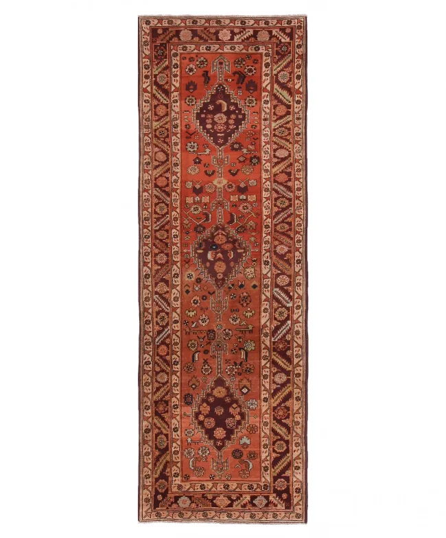 Cyrus Artisan Pakistani Malayer Rug