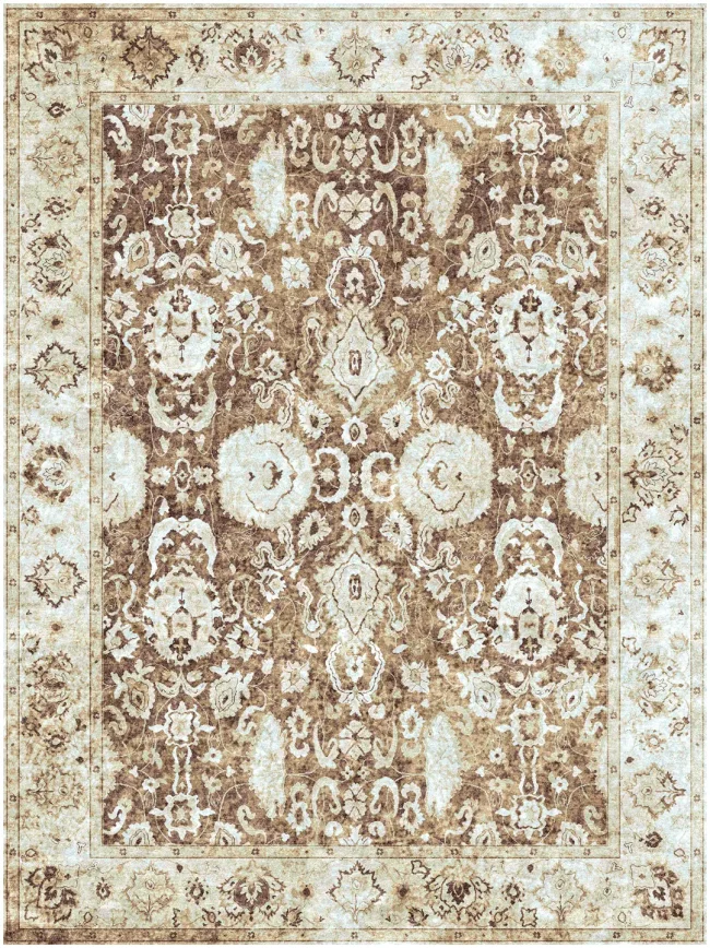 Cyrus Artisan Antiqua Reserve VC-44 Rugs