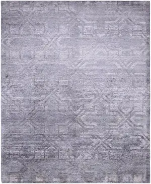 Amora Transitional Grey - 8' x 10'