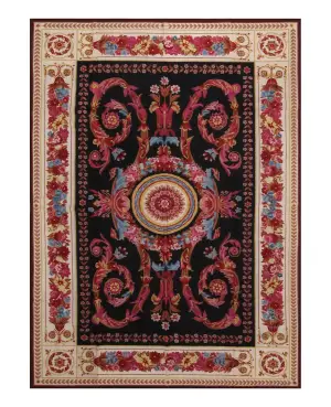 Chinese Needlepoint Aubusson Black/Ivory - 6' x 9'