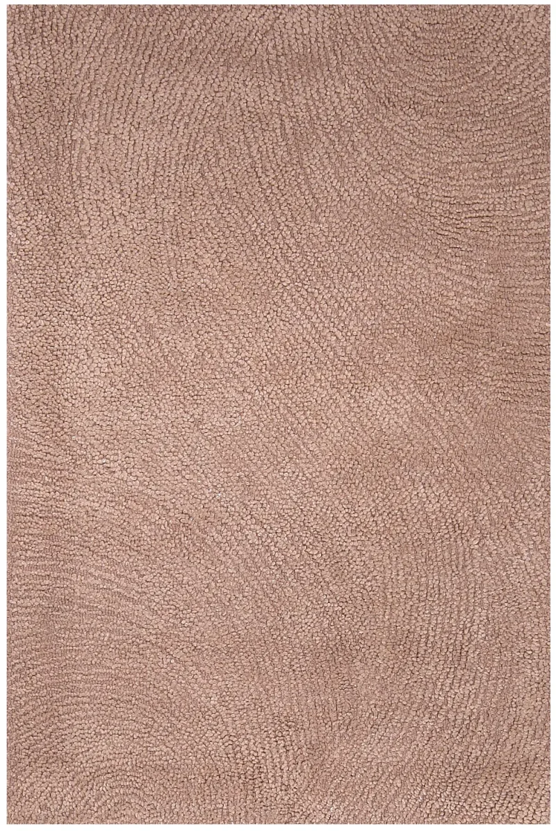 Indian Hand Tufted Contemporary Taupe  -  4'  x  6' 