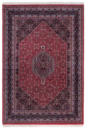 Indian Wool Bidjar Navy - 6' x 8' 8''