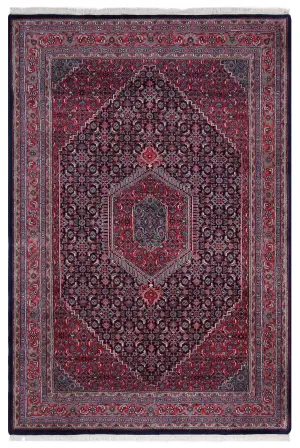 Indian Wool Bidjar Red - 5' 10'' x 8' 7''