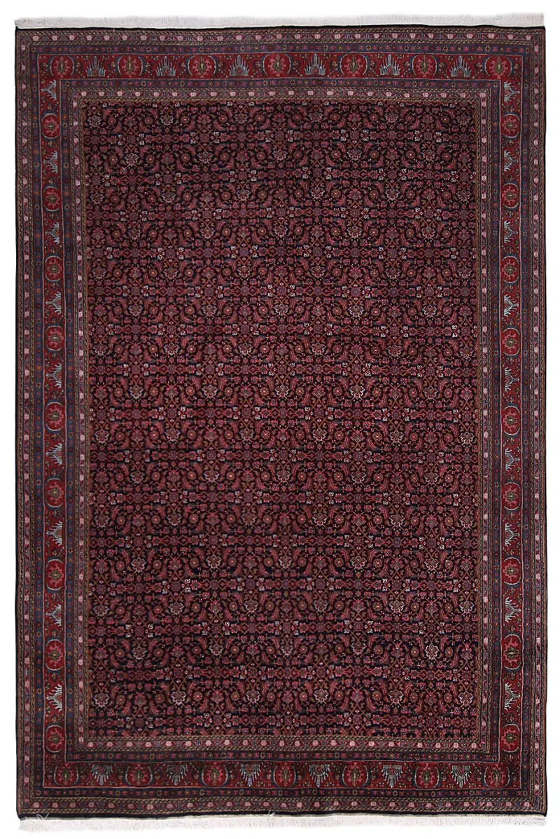 Indian Wool Bidjar Red  -  8'  x  11' 