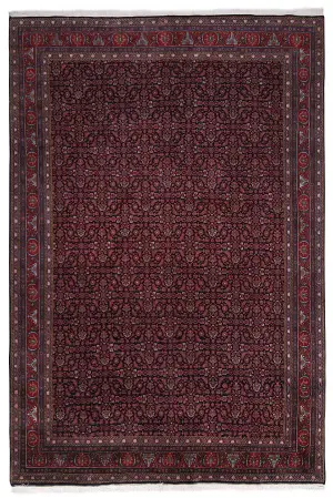 Indian Wool Bidjar Red - 8' x 11'