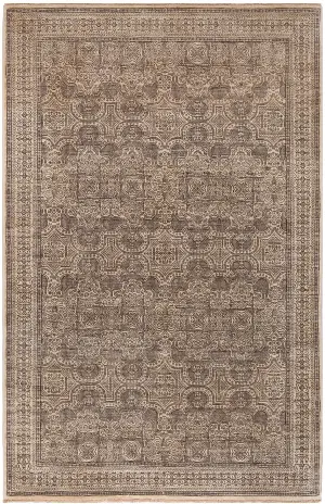 Indian Wool Transitional Beige - 3' 11'' x 6'