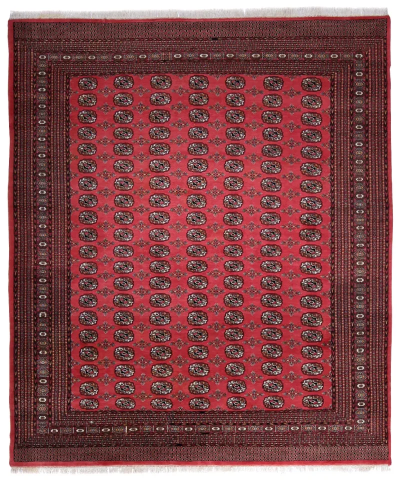 Pakistani-One of a Kind Bokhara Coral  -  7' 9'' x  9' 7''