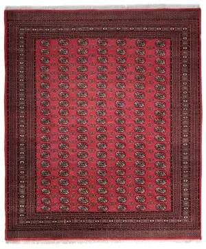 Pakistani-One of a Kind Bokhara Coral - 7' 9'' x 9' 7''