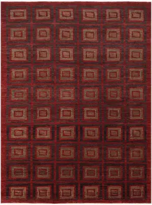 Pakistani-One of a Kind Transitional Red - 8' 10'' x 12'
