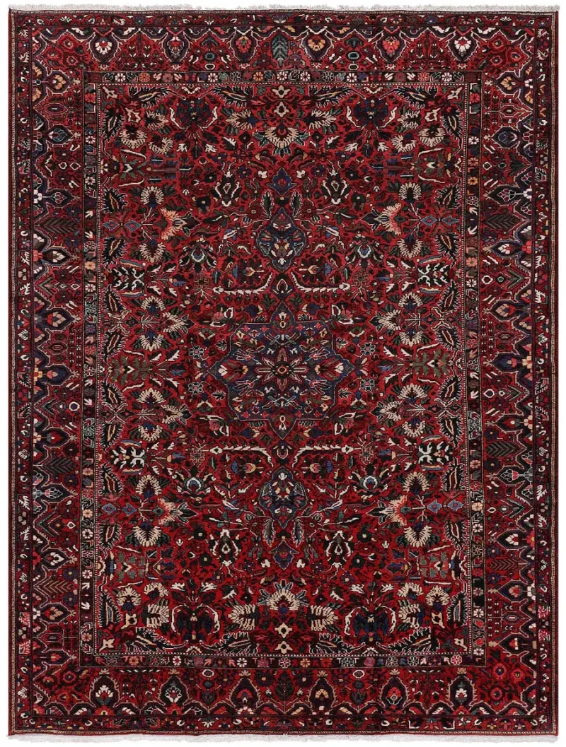 Persian-One of a Kind Bakhtiari Red/Multi  -  10' 5'' x  12' 7''