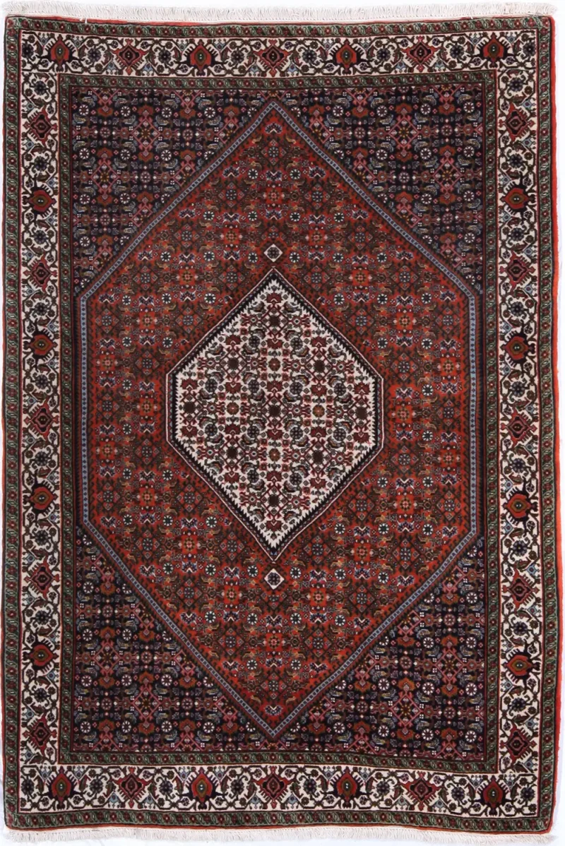 Persian-One of a Kind Bidjar Multi  -  3' 1'' x  5' 6''