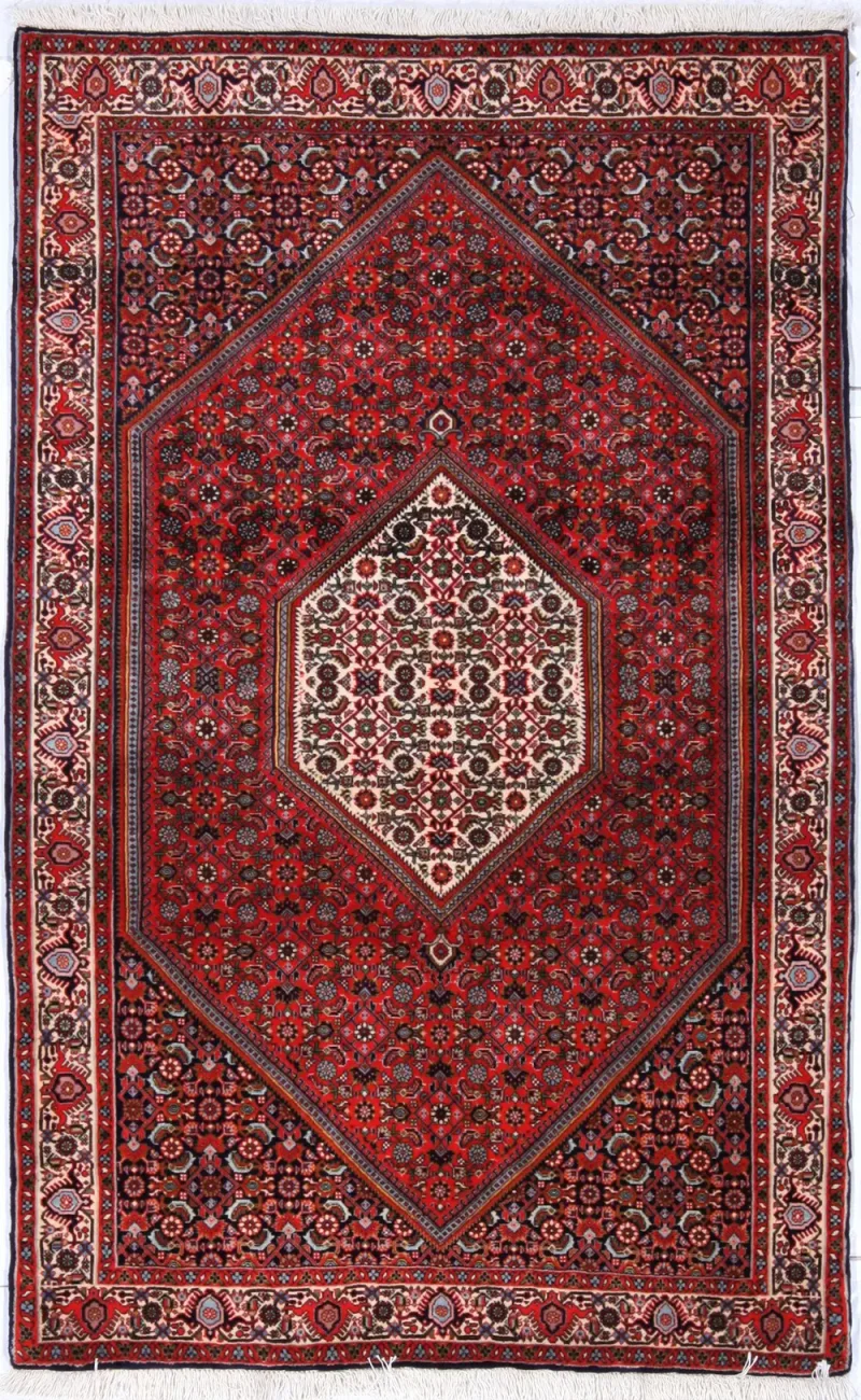 Persian-One of a Kind Bidjar Multi  -  3' 11'' x  6' 3''