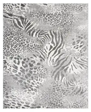 N NATORI / SERENGETI SG-629