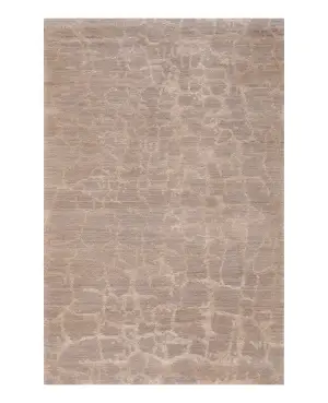 Shakti Crack Up Taupe - 3' x 5'