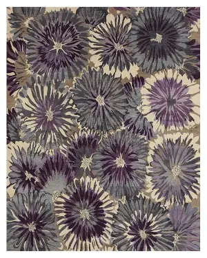 Transitional Sunburst